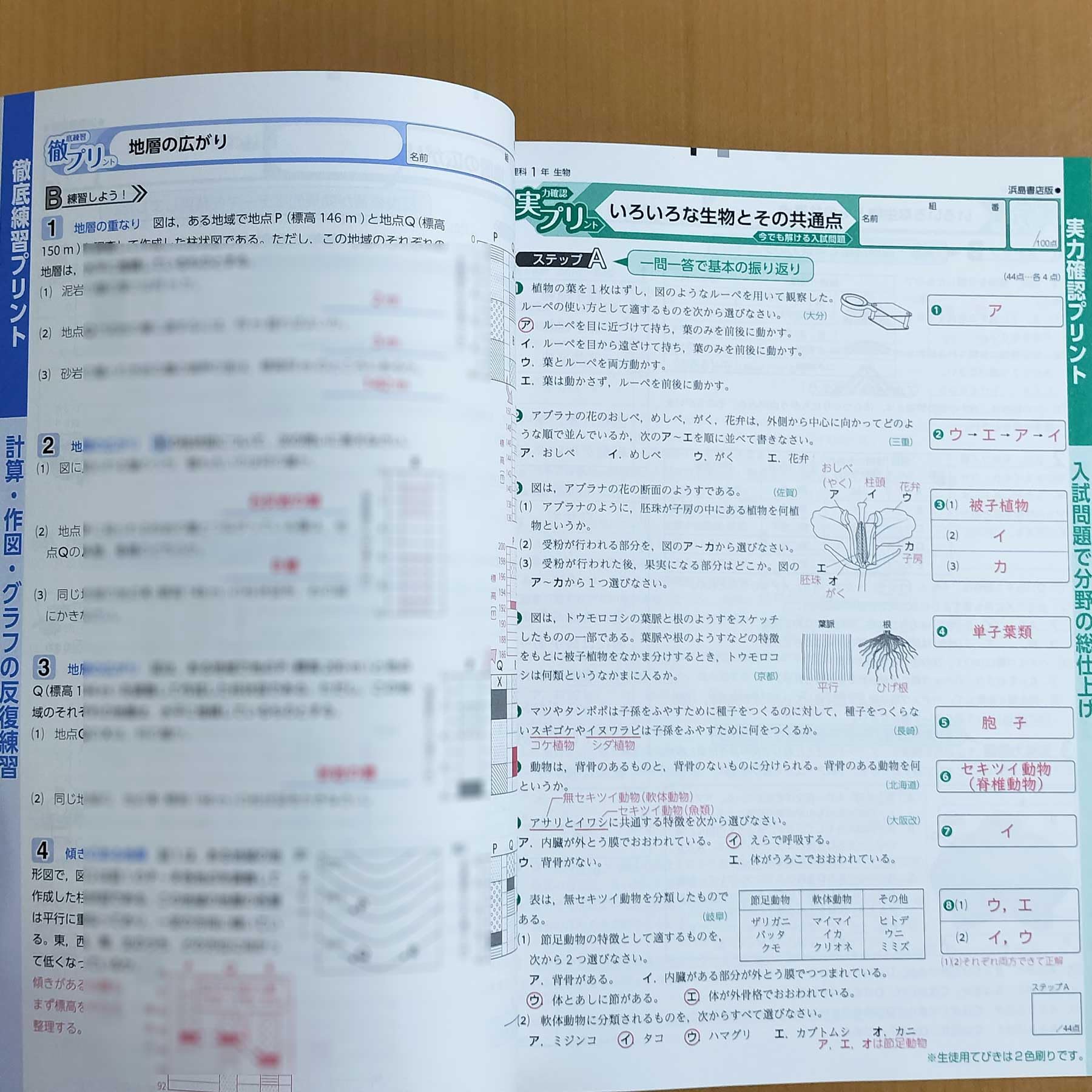Amazon.co.jp: 2024年度版「基礎をきずく 理科 1年 東京書籍版